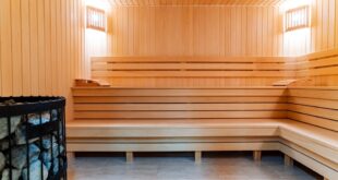 Wählen Sie das richtige Holz für die Inneneinrichtung Ihrer Sauna